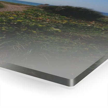 Entering the beach on Acrylic Glass Wall Art - Cosas y Punto