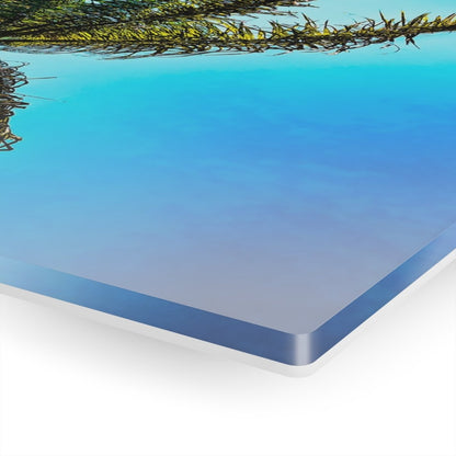 Lone Palm Tree with vibrant skies on Acrylic Glass Wall Art - Cosas y Punto