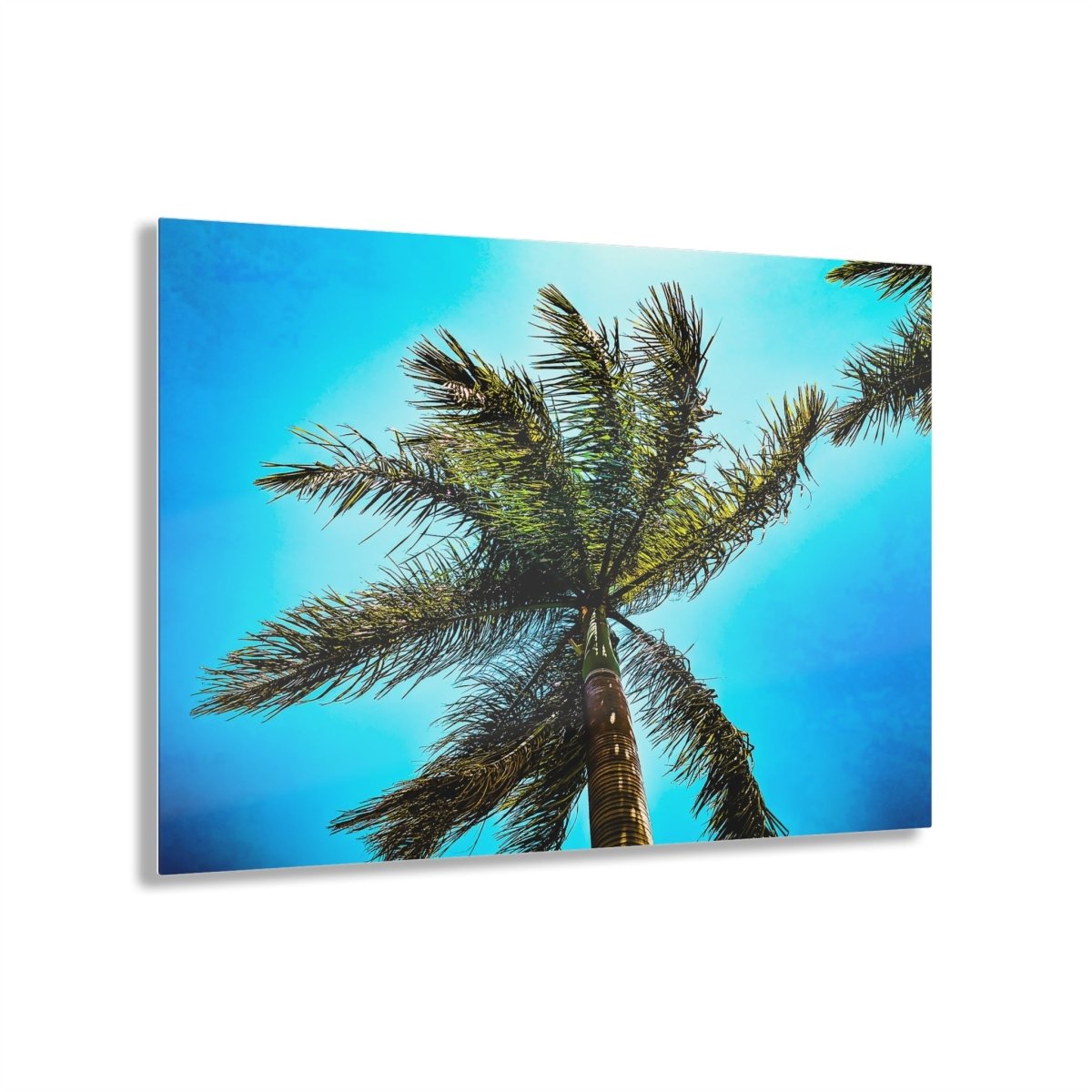 Lone Palm Tree with vibrant skies on Acrylic Glass Wall Art - Cosas y Punto