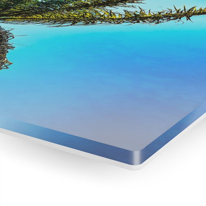 Lone Palm Tree with vibrant skies on Acrylic Glass Wall Art - Cosas y Punto