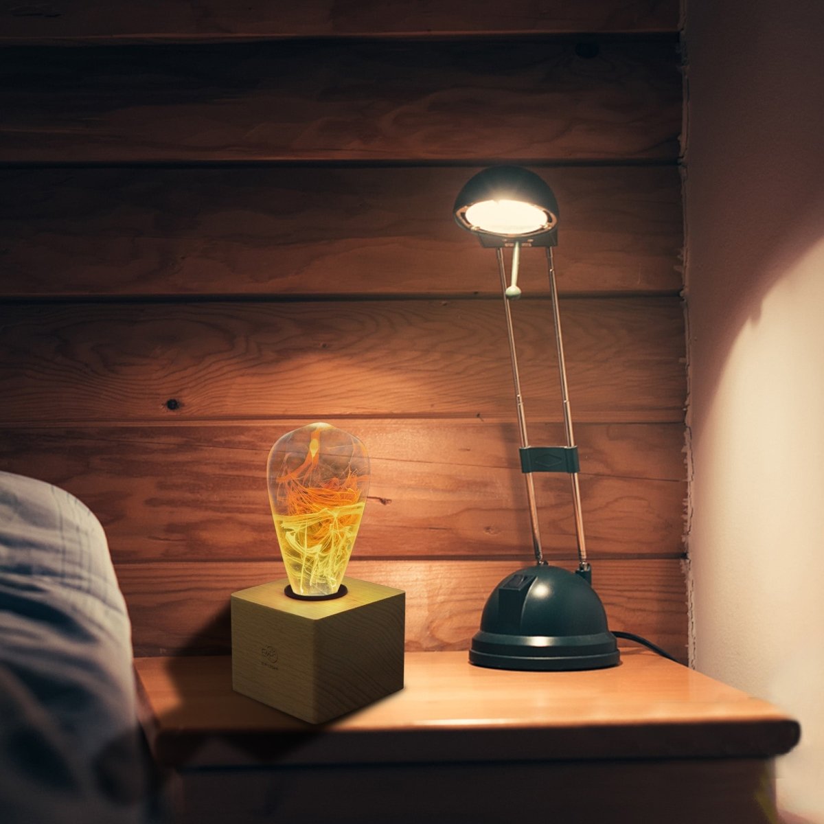 Resin LED Lightbulb - Solar Corona - Cosas y Punto