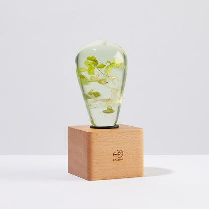 Resin LED Lightbulb - White Hydrangea - Cosas y Punto