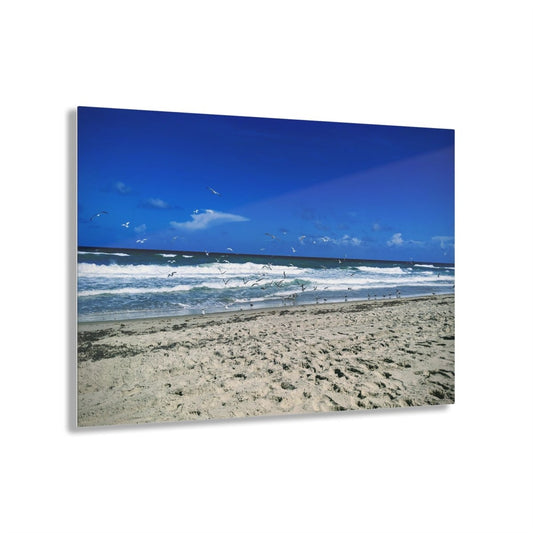 Seagulls on the beach on Acrylic Glass Wall Art - Cosas y Punto