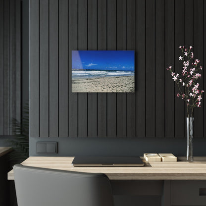 Seagulls on the beach on Acrylic Glass Wall Art - Cosas y Punto