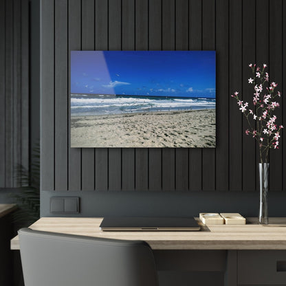 Seagulls on the beach on Acrylic Glass Wall Art - Cosas y Punto
