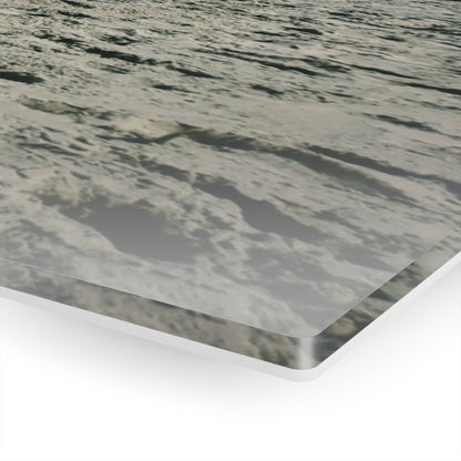Seagulls on the beach on Acrylic Glass Wall Art - Cosas y Punto